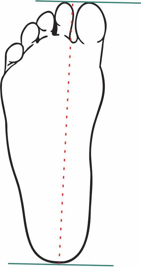 Vestibull Vellies Size Charts